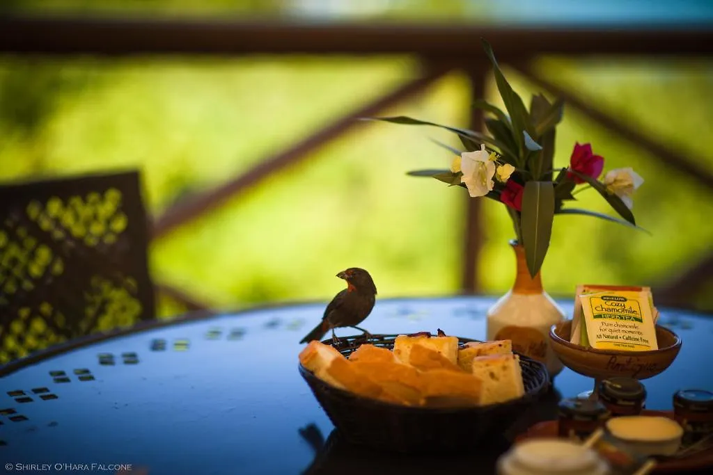 Harmony Hall Antigua Hotel Freetown
