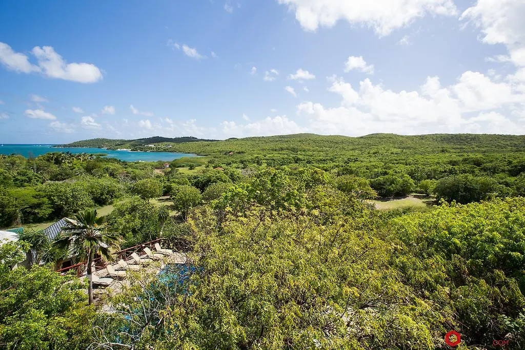 Hotel Harmony Hall Antigua Freetown Village