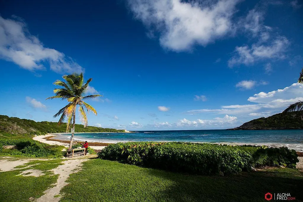 Hotel Harmony Hall Antigua Freetown Village